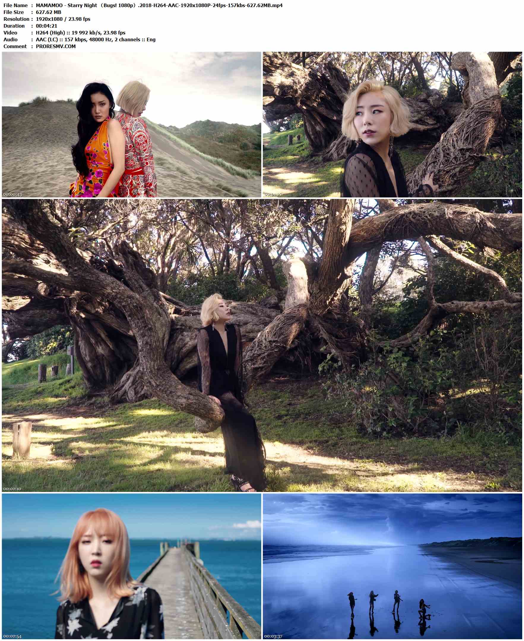 MAMAMOO - Starry Night （Bugs! 1080p）.2018-H264-AAC-1920x1080P-24fps-157kbs-627.62MB官方MV_高清MV